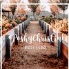 poshambassador6
